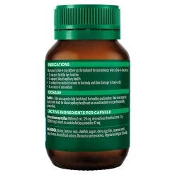 Thompsons One A Day Bilberry 12000mg 60 Capsules -Health Care Store 40038