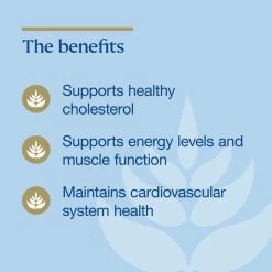 BioCeuticals CoQ10 Excel 150mg 90 Capsules -Health Care Store 67956