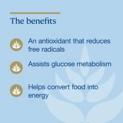 BioCeuticals Lipoec 400 60 Capsules 12 BioCeuticals Lipoec 400 60 Capsules -Health Care Store 68085