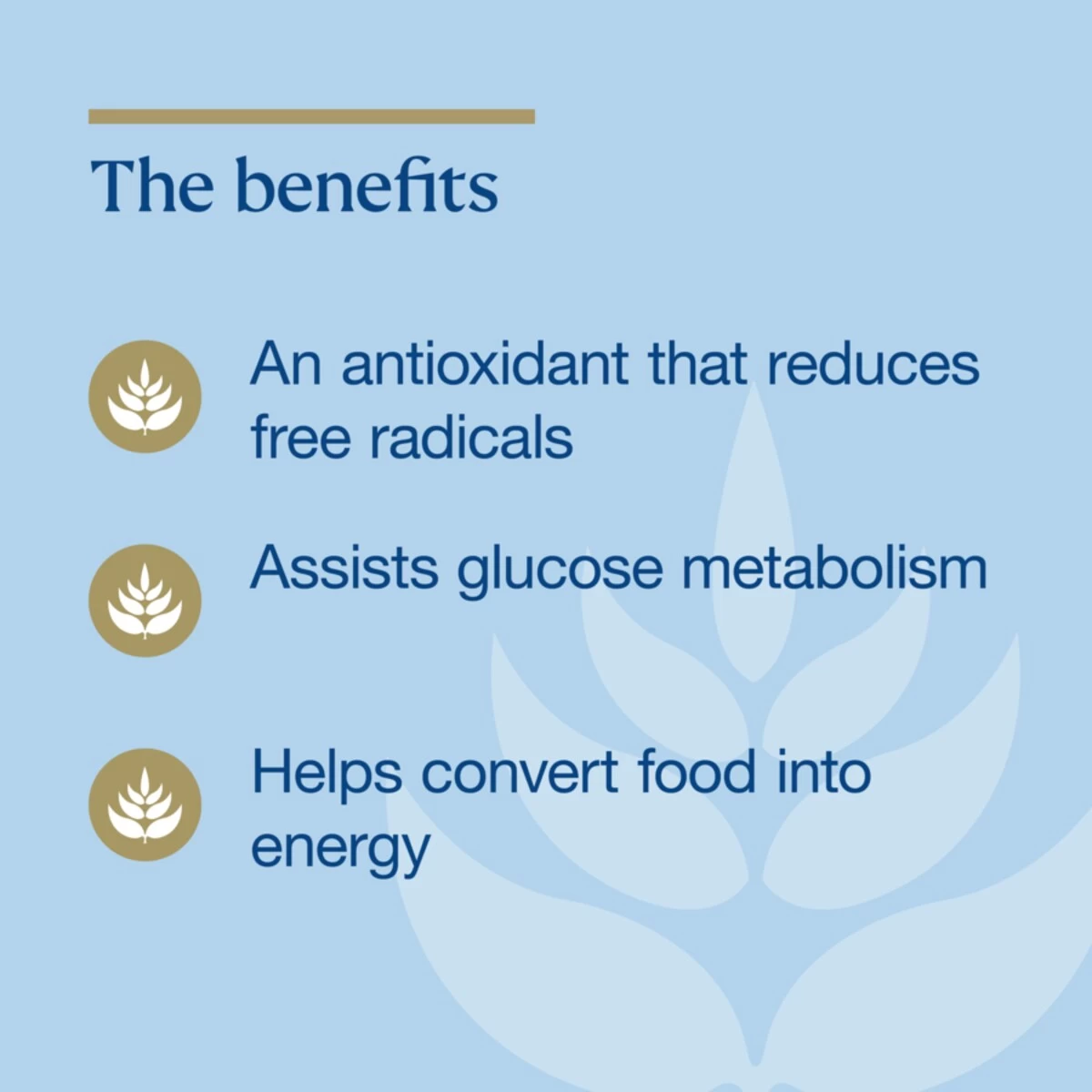 BioCeuticals Lipoec 400 60 Capsules 4 BioCeuticals Lipoec 400 60 Capsules - Image 4