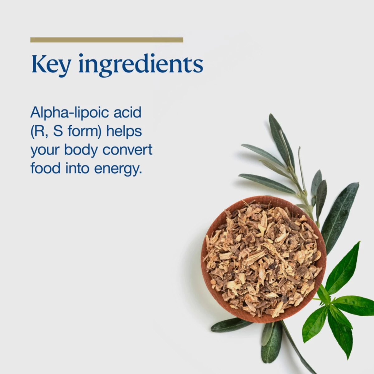 BioCeuticals Lipoec 400 60 Capsules 6 BioCeuticals Lipoec 400 60 Capsules - Image 6