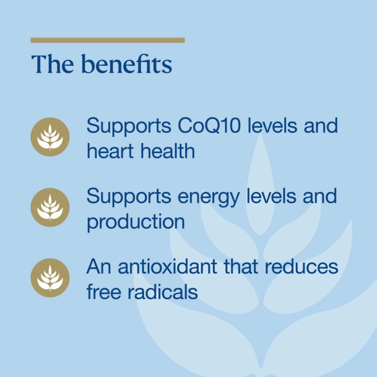 BioCeuticals Ubiquinol BioActive 150mg 60 Capsules 4 BioCeuticals Ubiquinol BioActive 150mg 60 Capsules - Image 4