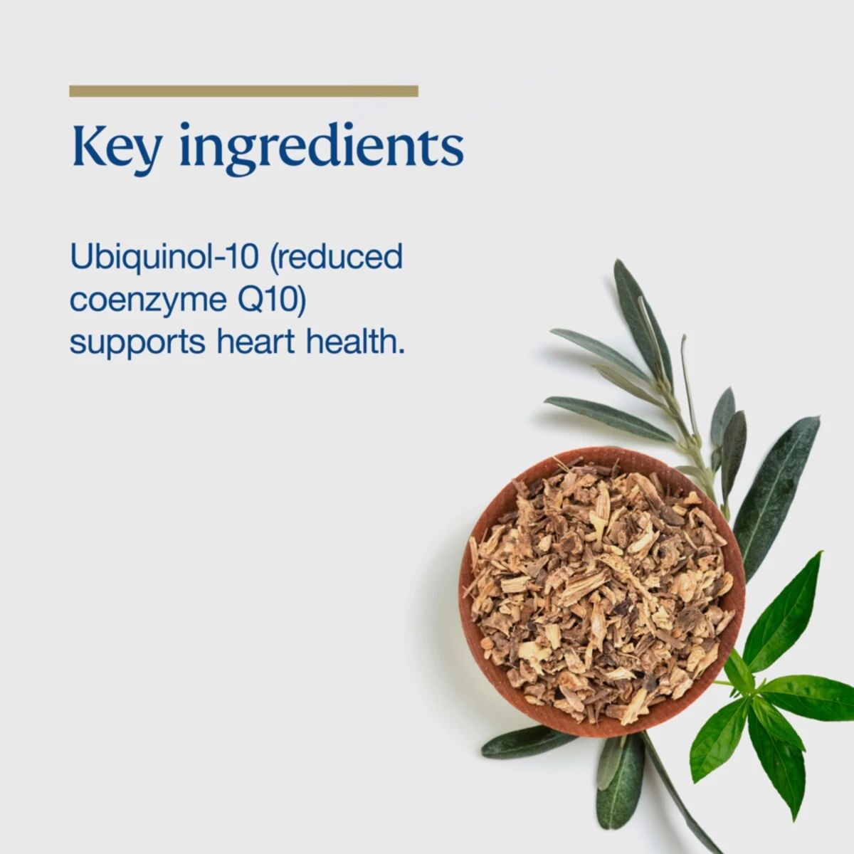 BioCeuticals Ubiquinol BioActive 150mg 60 Capsules 6 BioCeuticals Ubiquinol BioActive 150mg 60 Capsules - Image 6