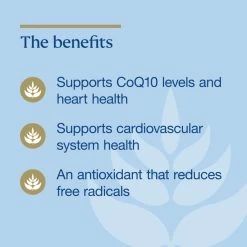 BioCeuticals Ubiquinol BioActive 300mg 30 Capsules -Health Care Store 70941