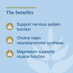 BioCeuticals Ultra Muscleze Night 400g -Health Care Store 70983